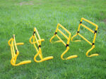 prepona pvc