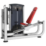 IT9510 LEG PRESS