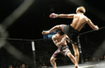 mma trening