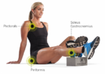trigger point