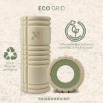 eco grid