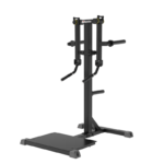 IFP1103 Standing Lateral Raise Impulse